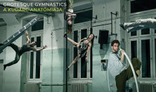 Grotesque Gymnastics: A kudarc anatómiája