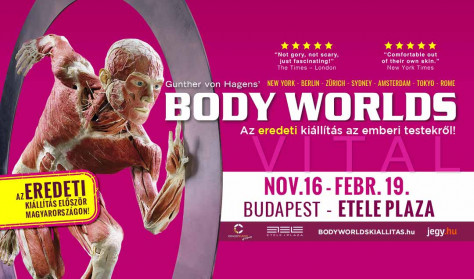 BODY WORLDS Kiállítás